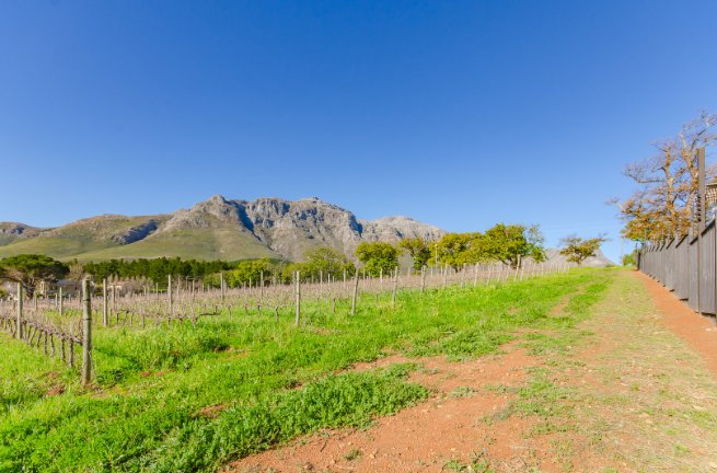  Bedroom Property for Sale in La Pastorale Western Cape